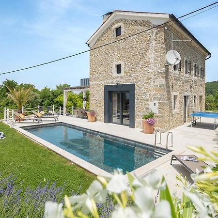 Villa Carica Krasica  Bagian luar foto