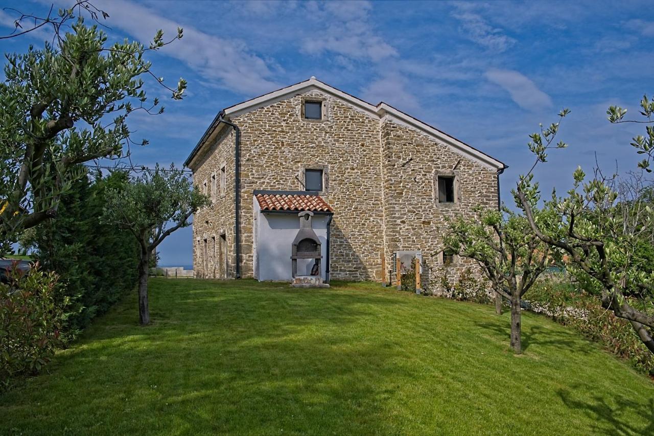 Villa Carica Krasica  Bagian luar foto